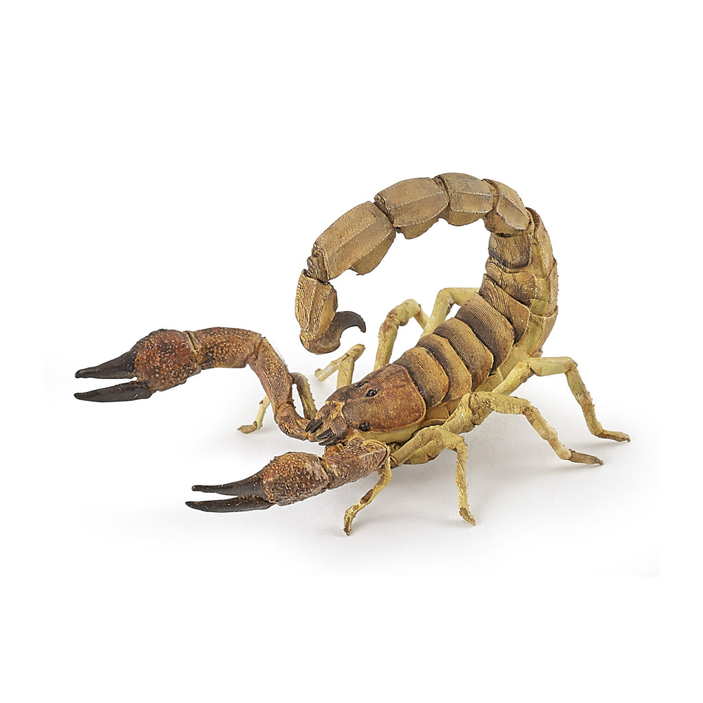 PAPO Divje živali: Škorpion