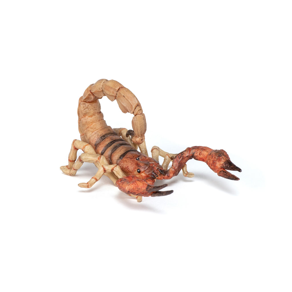 PAPO Divje živali: Škorpion
