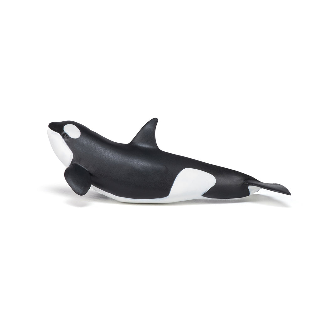 PAPO Morske živali: Mladiček orke