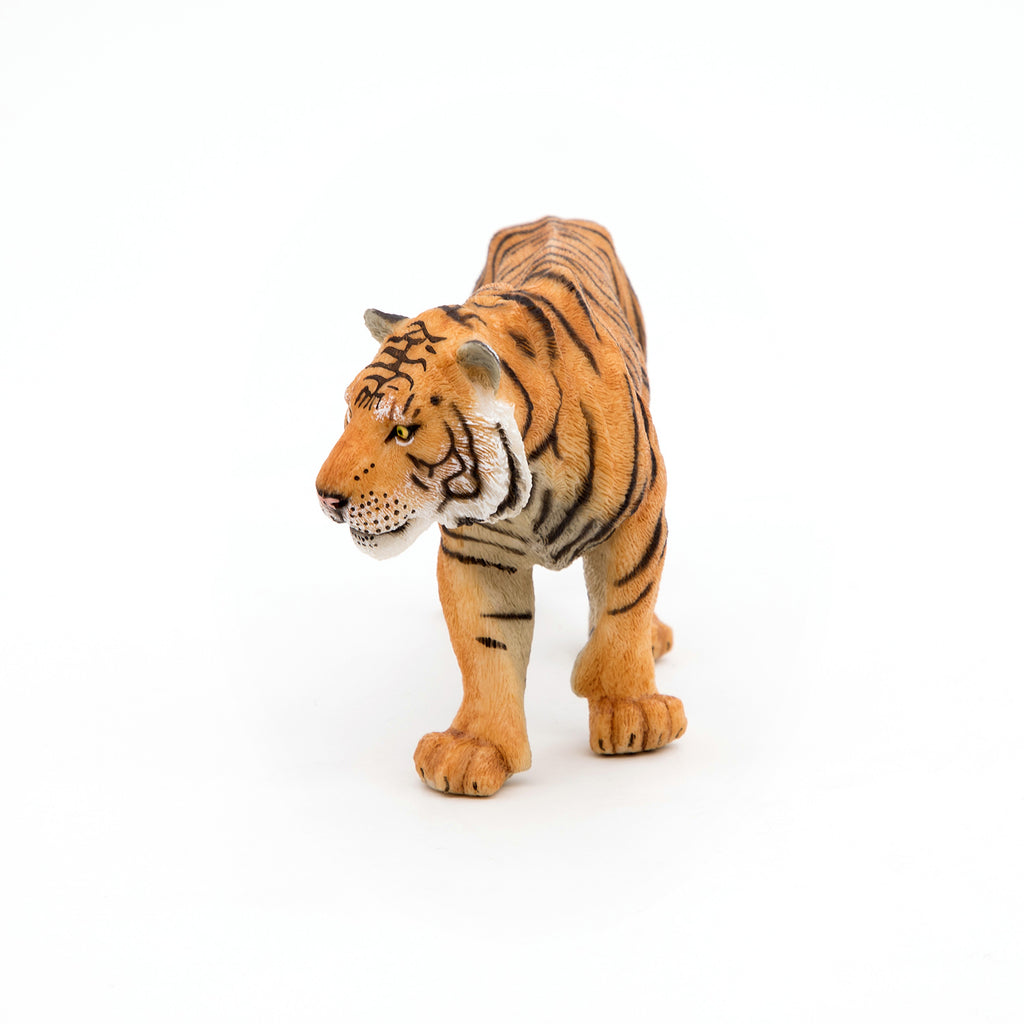 PAPO Divje živali:  Tiger
