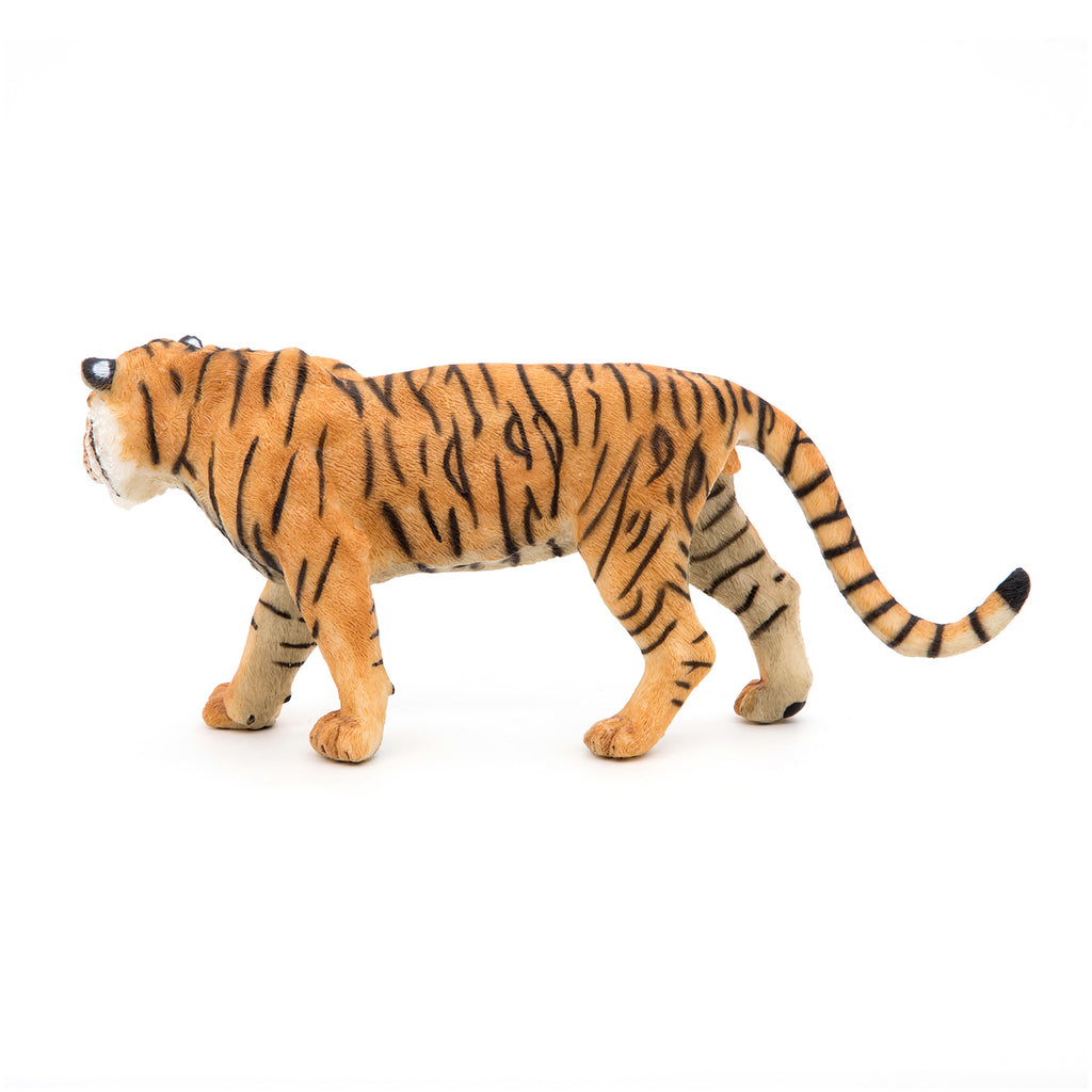 PAPO Divje živali:  Tiger