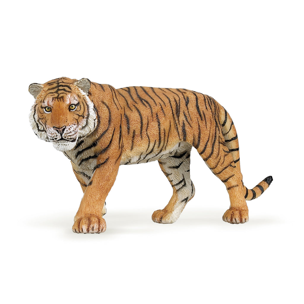 PAPO Divje živali:  Tiger