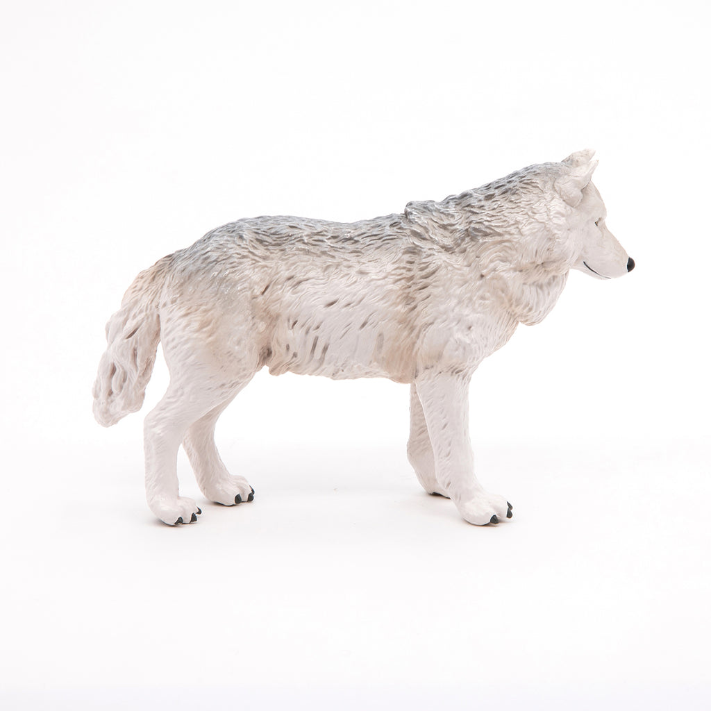 PAPO Divje živali: Polarni volk