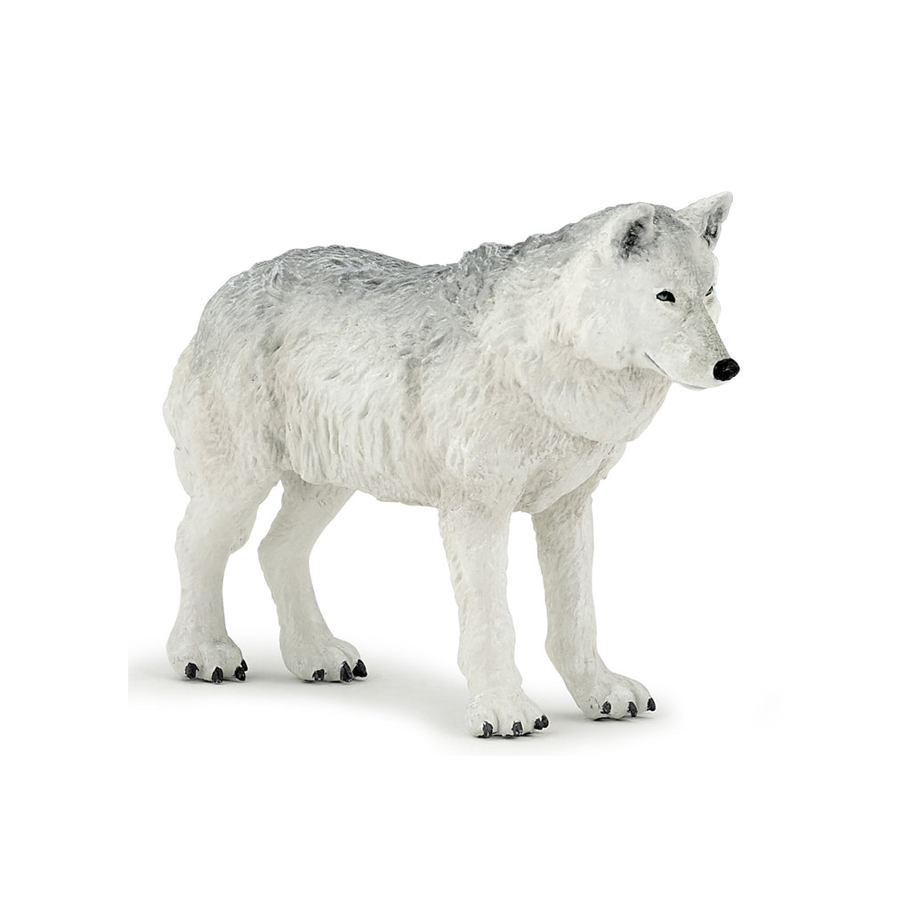 PAPO Divje živali: Polarni volk