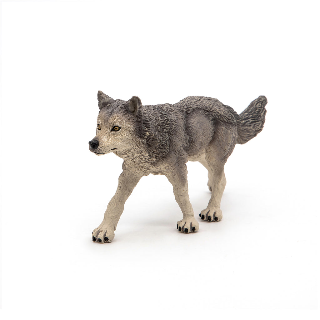 PAPO Divje živali: Sivi volk