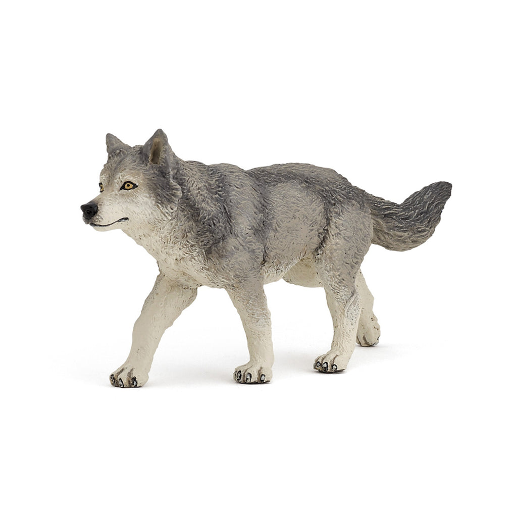 PAPO Divje živali: Sivi volk