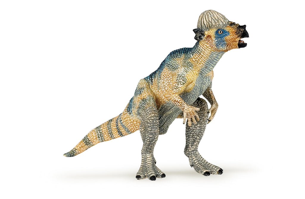 PAPO Dinozavri:  Pachycephalosaurus- mladič
