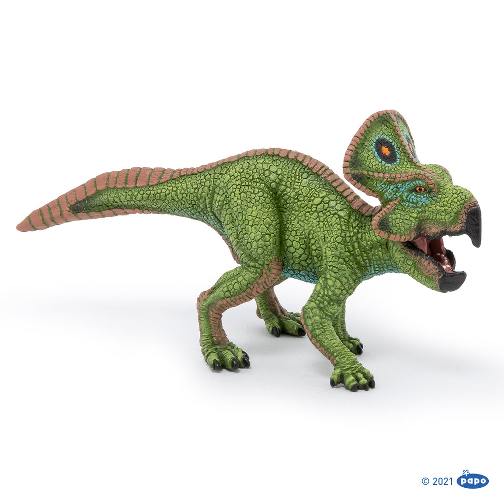 PAPO Dinozavri: Protoceratops