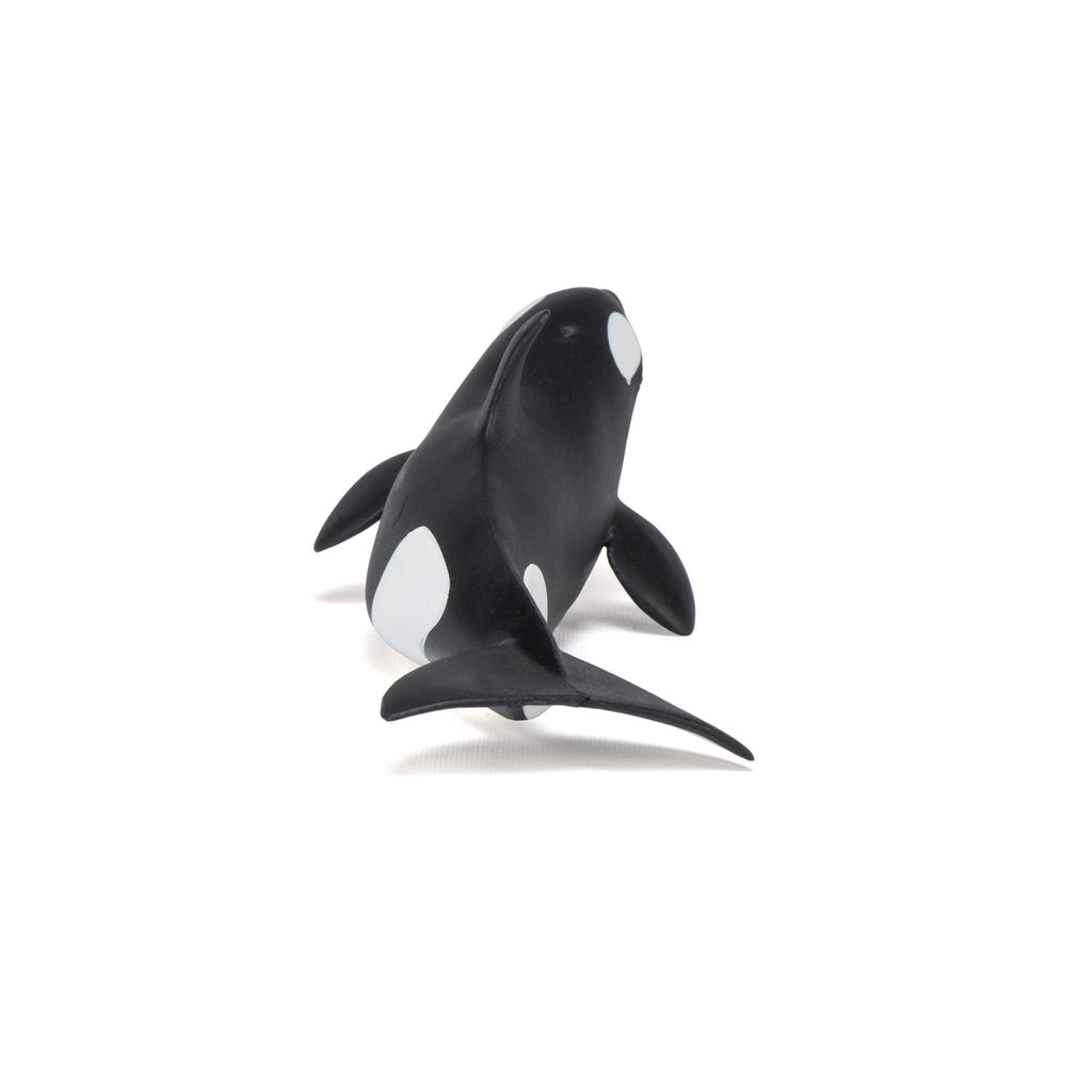 PAPO Morske živali: Mladiček orke